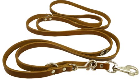 bridle leather dog leash