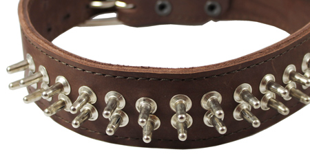 Real Leather Dog Collar 18